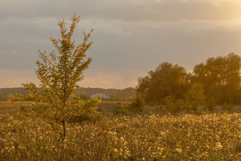 Photograph by Кутний Игорь