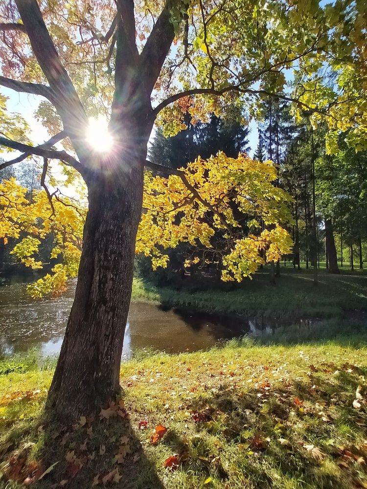 Photograph by Николай Мюллер