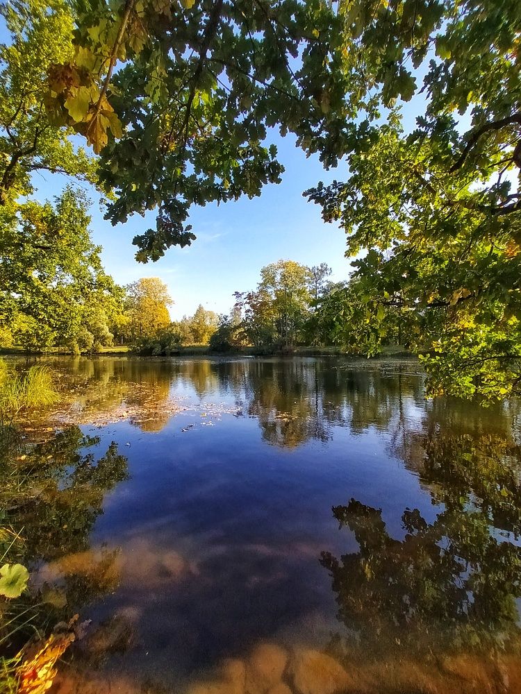 Photograph by Николай Мюллер