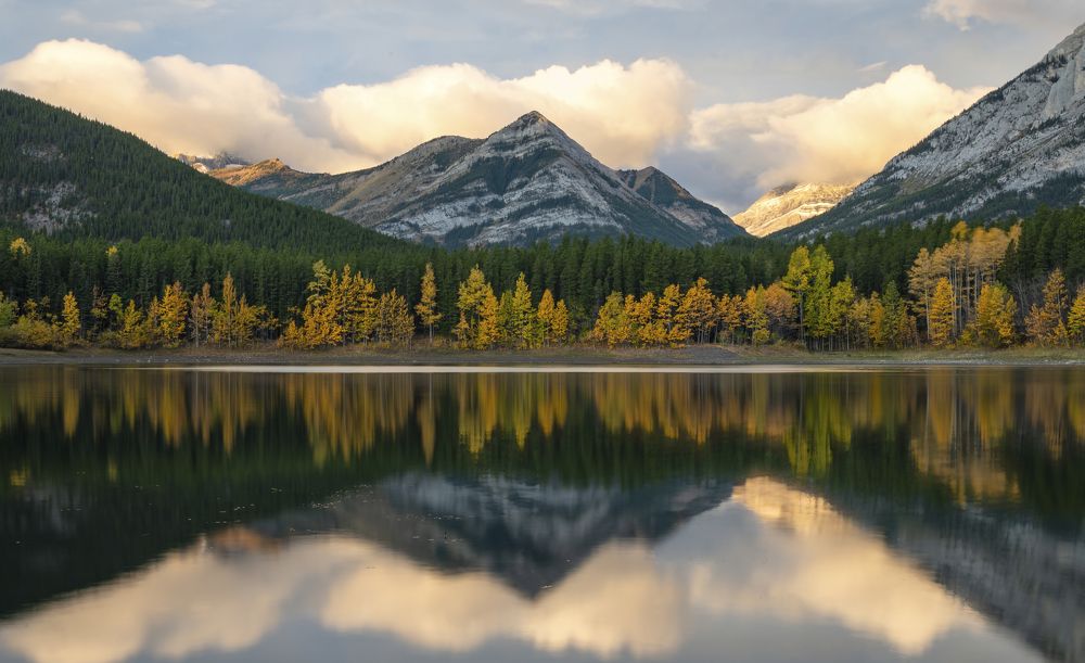 Photograph by Razvan Iliescu