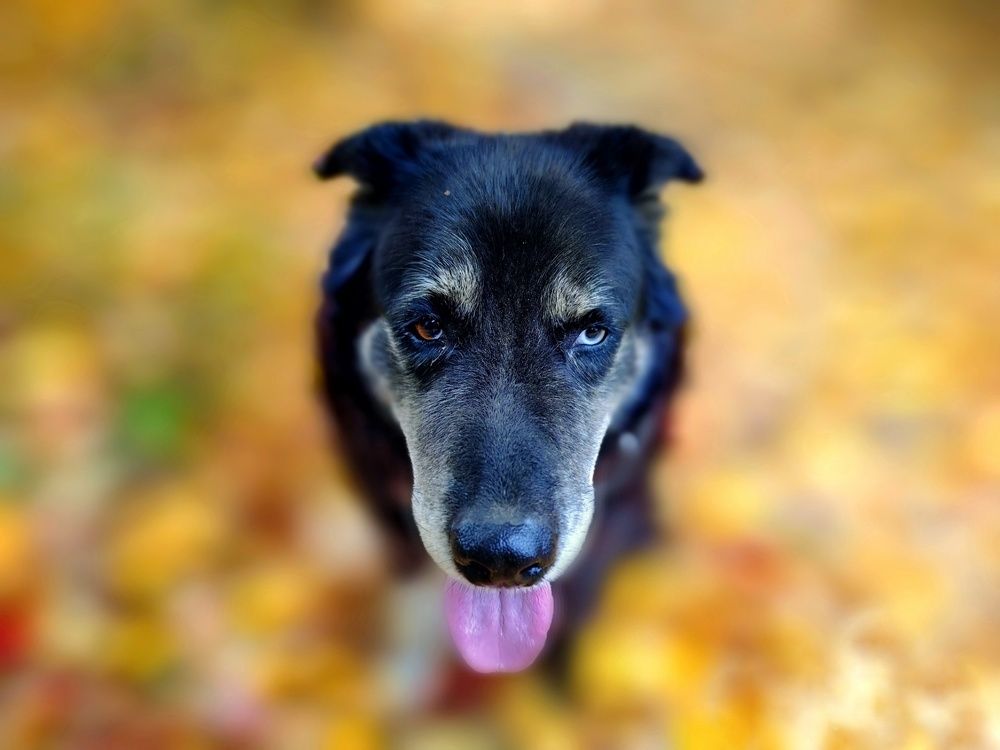 Photograph by Ekaterina Fadeeva