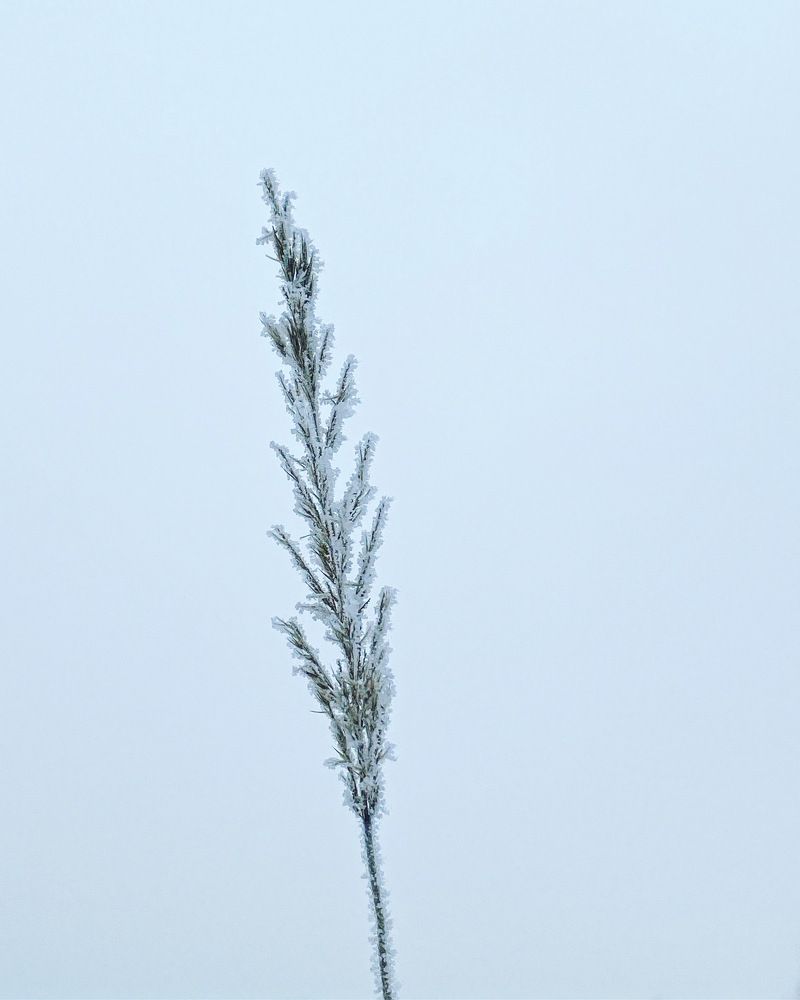 Photograph by Ольга Галкина