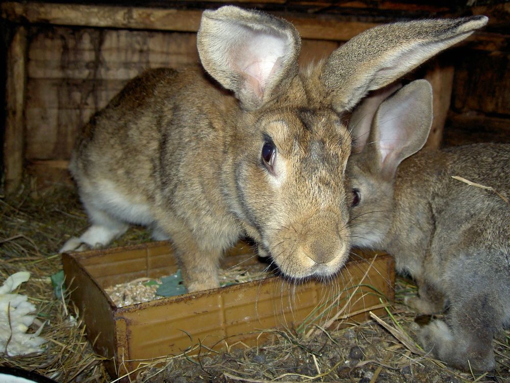 Photograph by Андрей Анатольевич Жуков