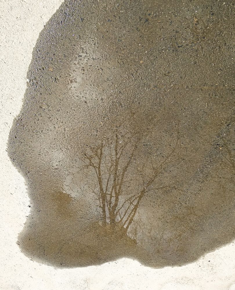 Photograph by Наталья Трофимова