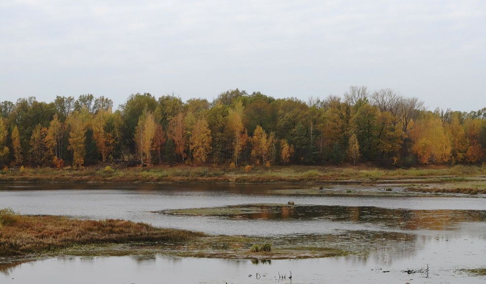 Photograph by Николай Круглов