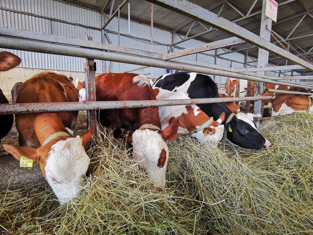 Photograph by Ekaterina Fadeeva