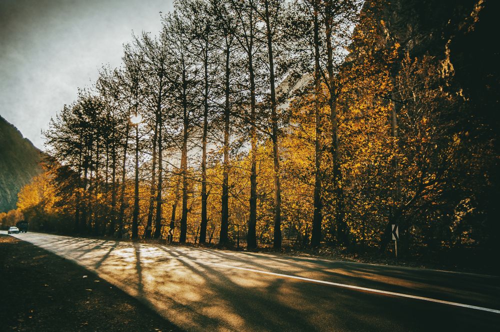 Photograph by DAMOUN POURNEMATI