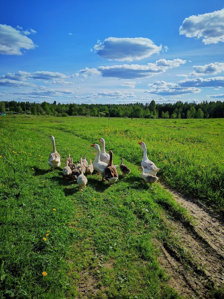 Photograph by Ekaterina Fadeeva