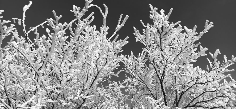 Photograph by Евгений Самулев