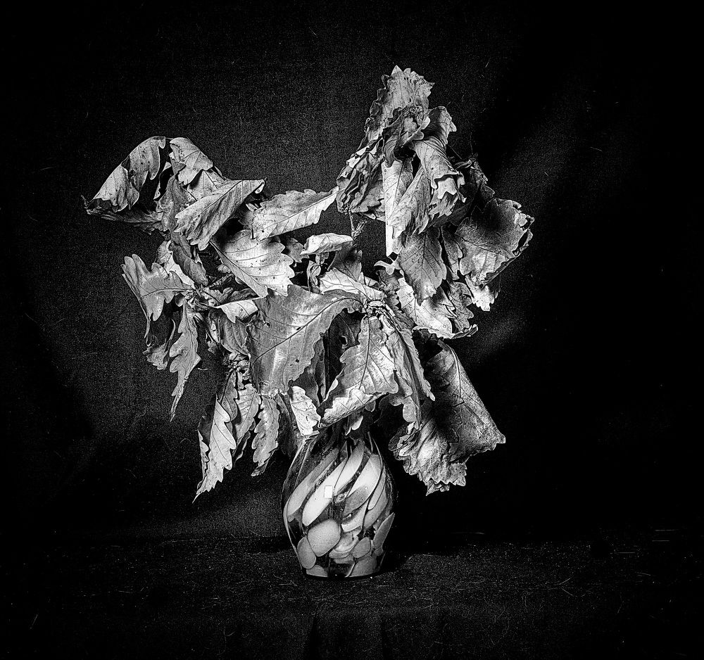 Photograph by Даниил Марков