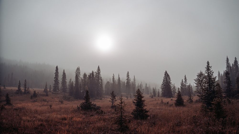 Фотография автора Ruslan Badykov