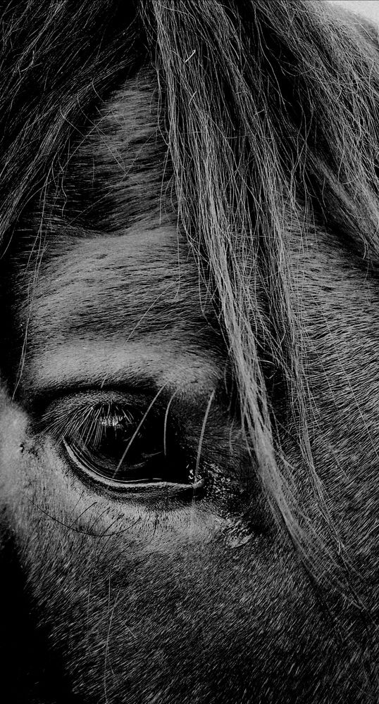 Фотография автора Владимир Кривенко