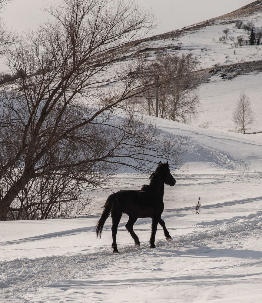 Photograph by Ирина Яук