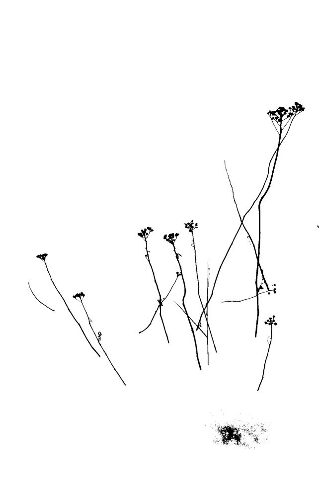 Photograph by Наталия Питолина