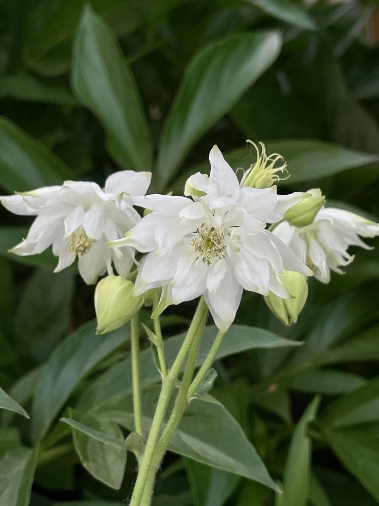 Photograph by Ольга Рачилова