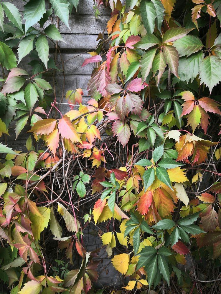 Photograph by Анатолий Плужников