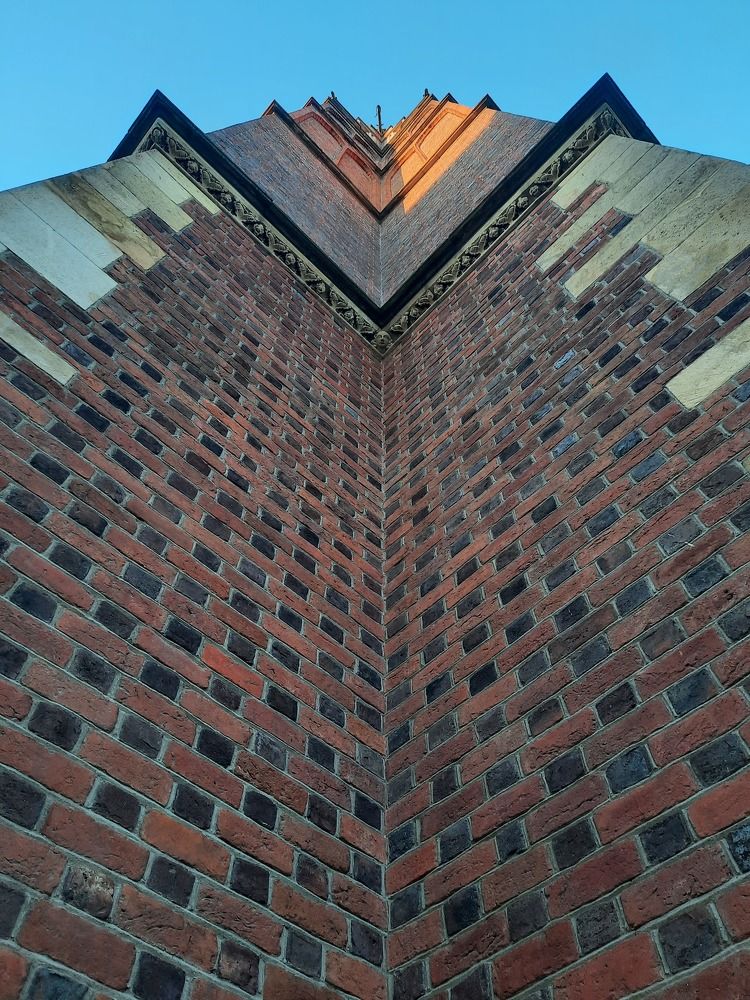 Фотография автора Tetiana Danylenko