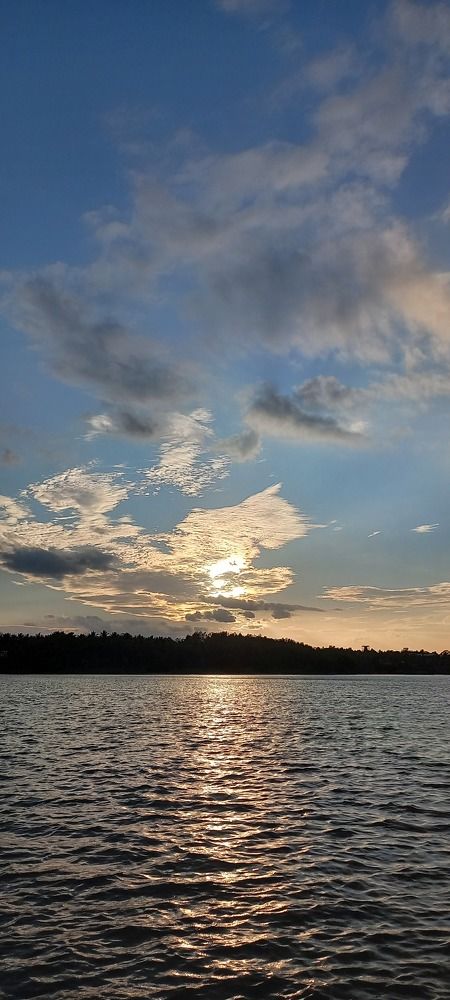 Photo #9617001