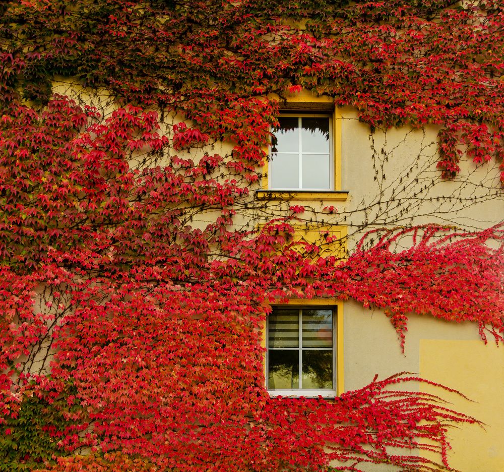 Photograph by Oleg Yashin