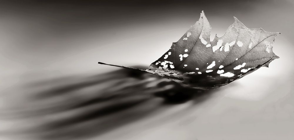 Photograph by Владимир Vladimir