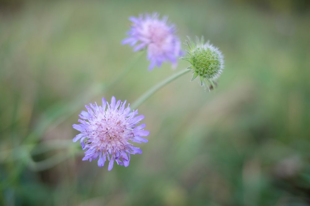 Photograph by Илья Хрусталев