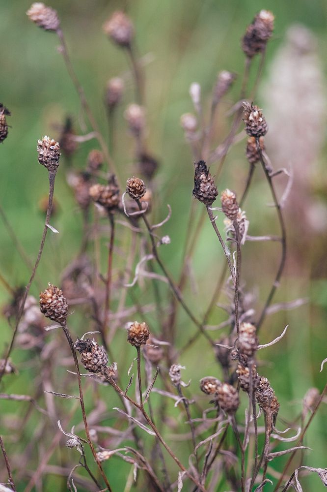 Photograph by Илья Хрусталев