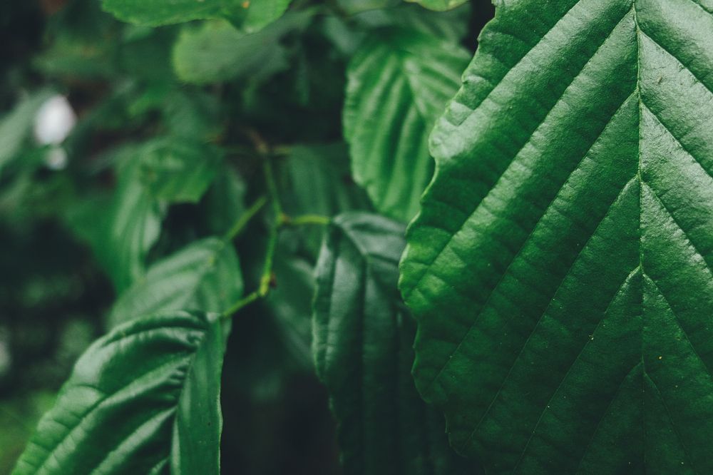 Photograph by Илья Хрусталев