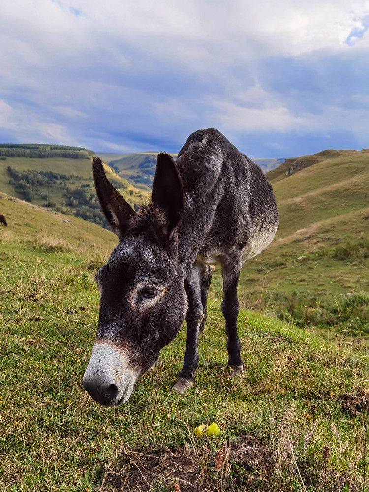 Photograph by Юлия
