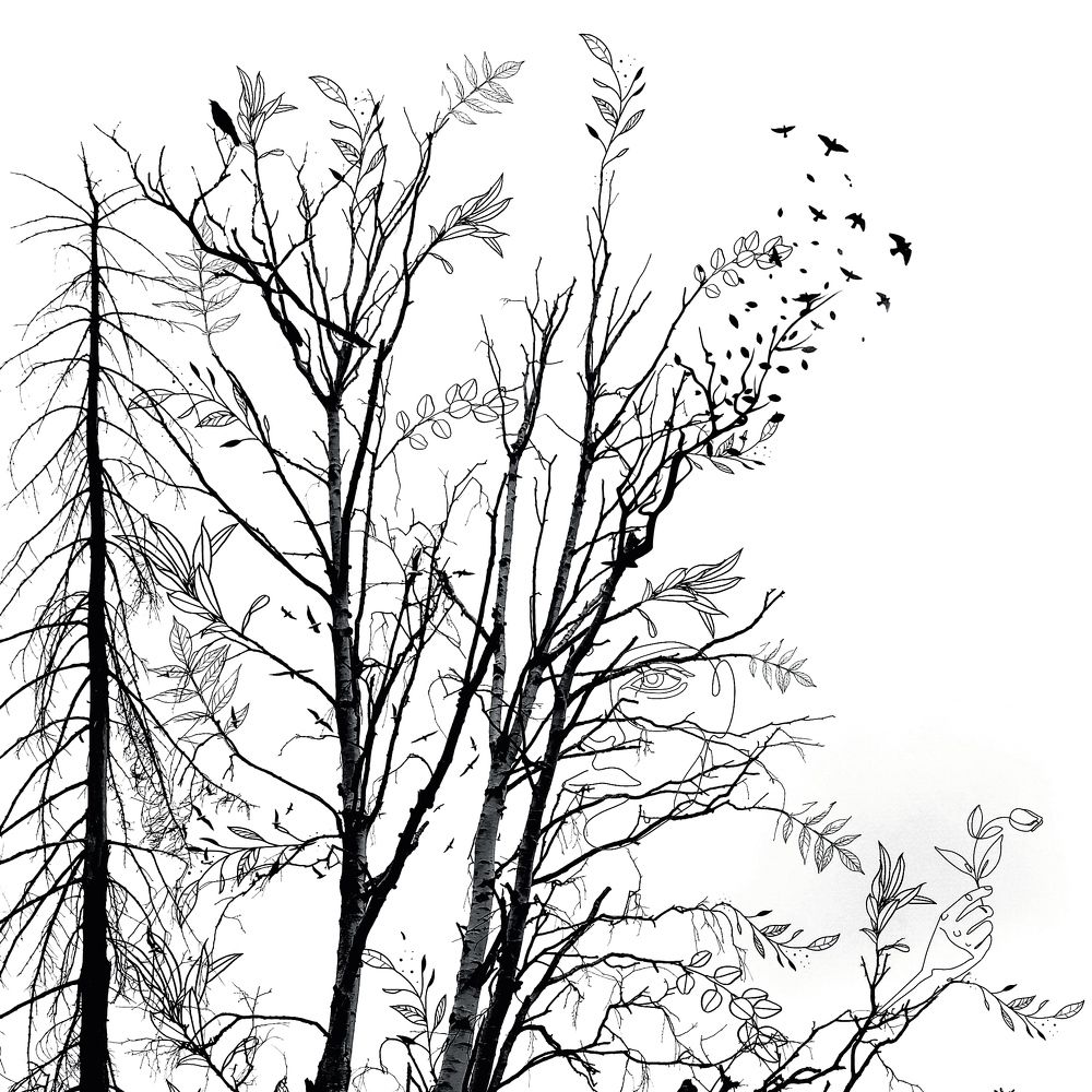 Photograph by Илья Шевелев