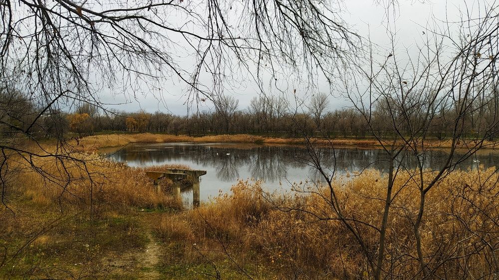 Photograph by Надежда Виденина