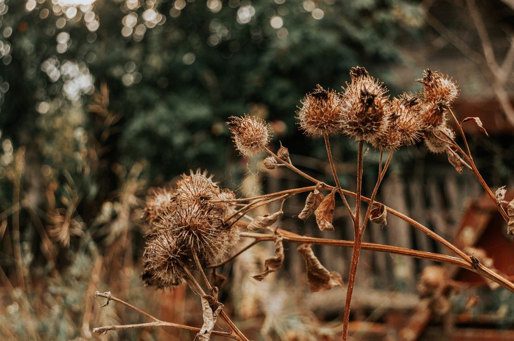 Photograph by Анна Петрова