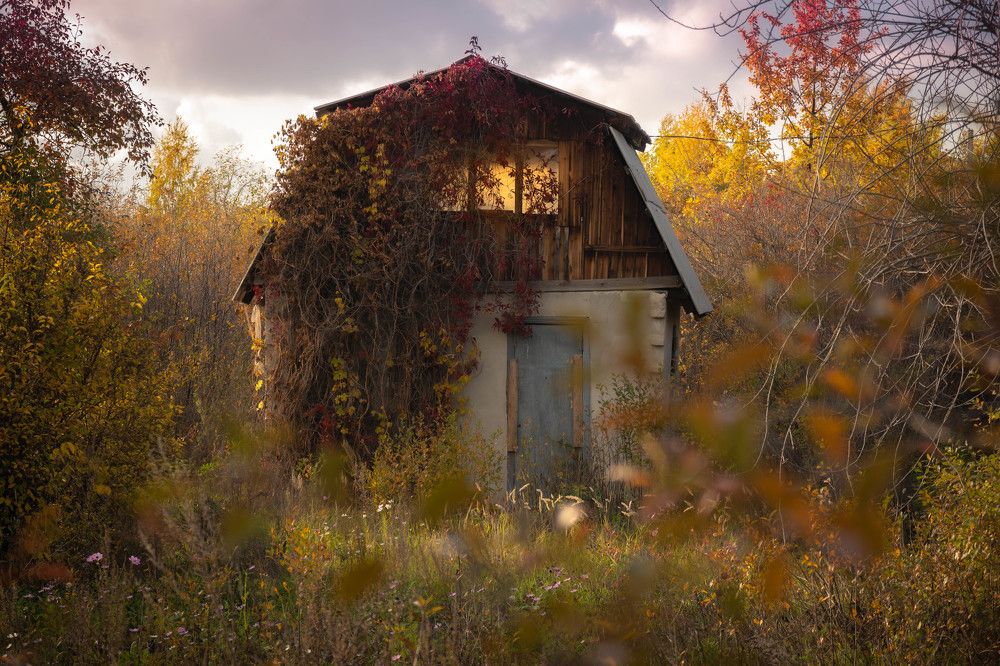 Photograph by Александр Захаров