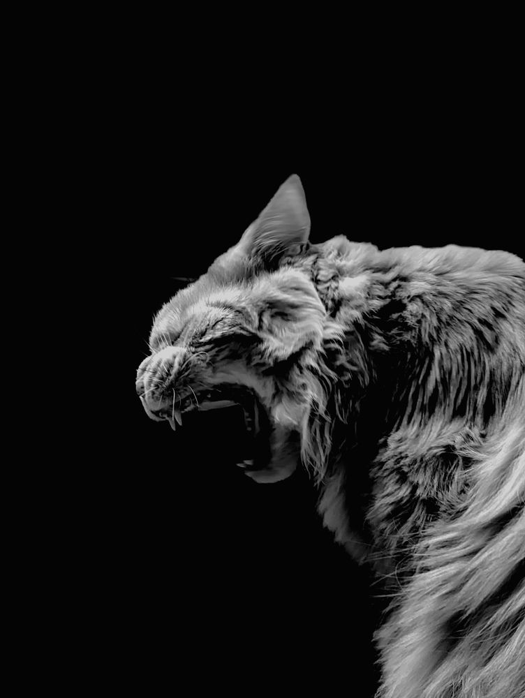 Photograph by Эрик Зибров