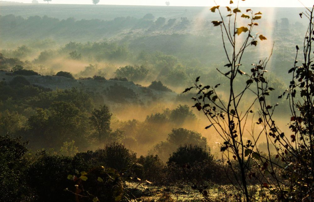 Photograph by Panagiotis Batatolis