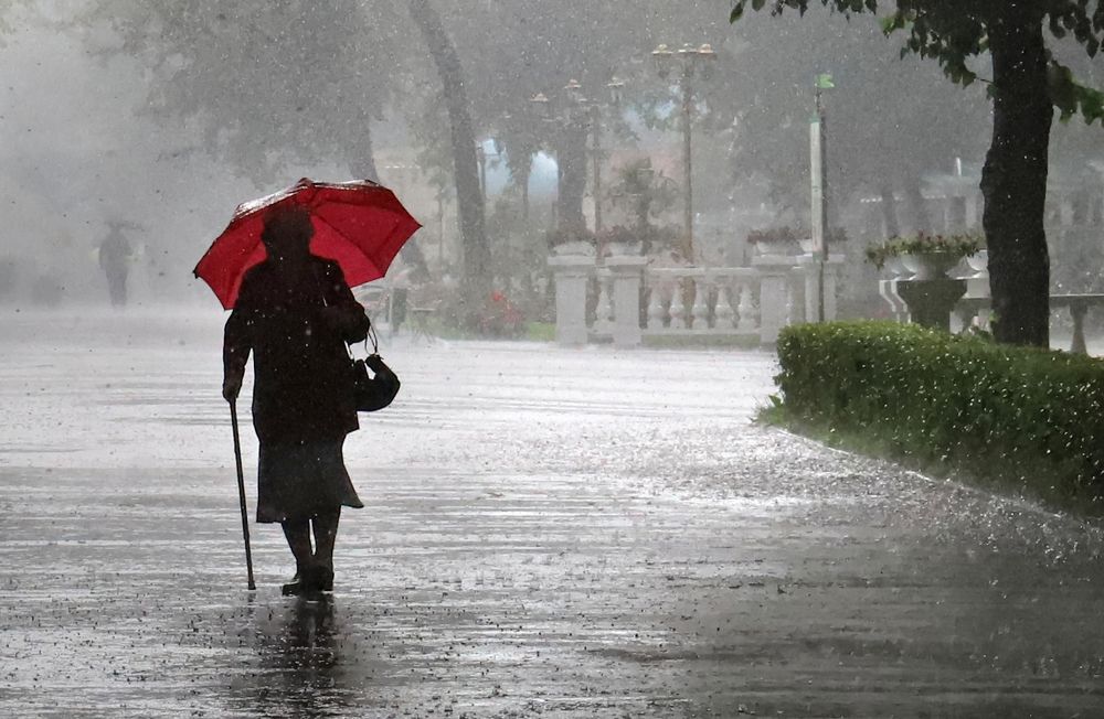 Фотография автора Светлана Бакулина