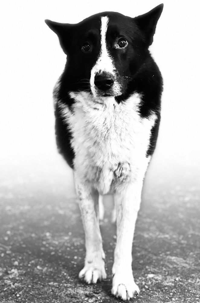 Photograph by Oleg Travin