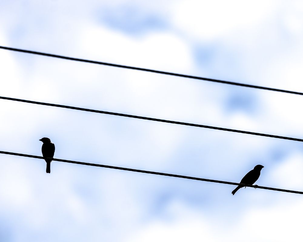 Фотография автора Bgs Zsolt