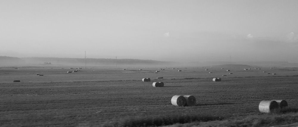 Photo #9617253