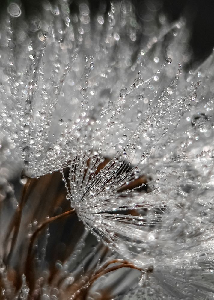 Photograph by Лариса Когтева