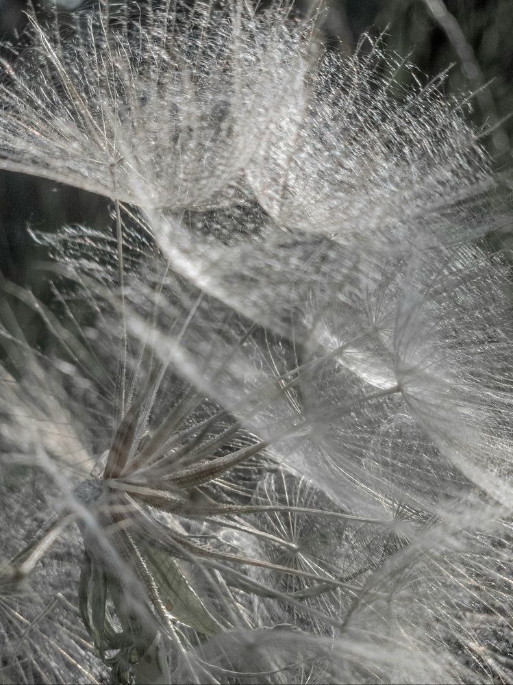 Photograph by Лариса Когтева