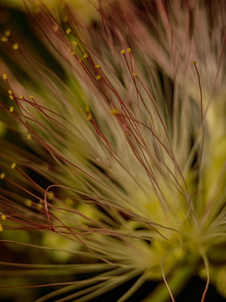 Photograph by Лариса Когтева