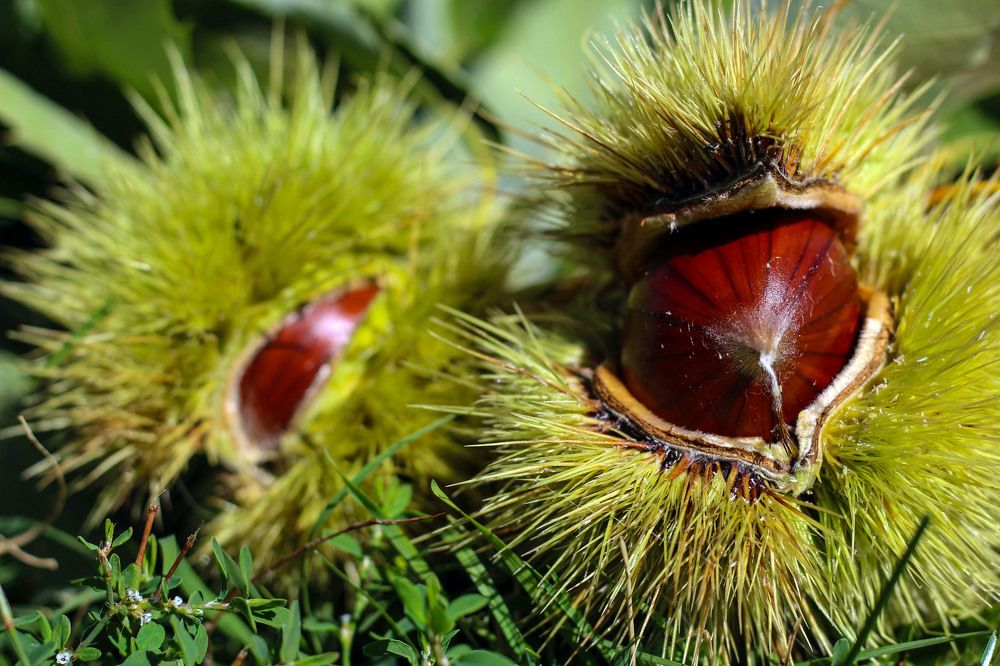 Photograph by Panagiotis Batatolis