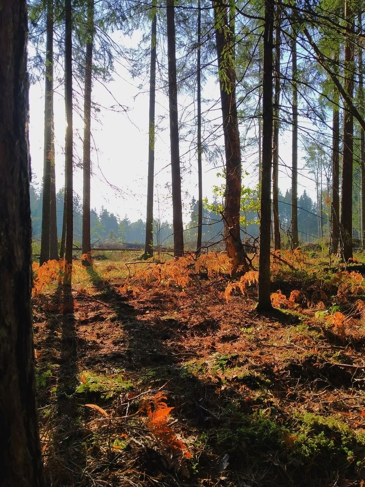 Photograph by Владимир Воложинский