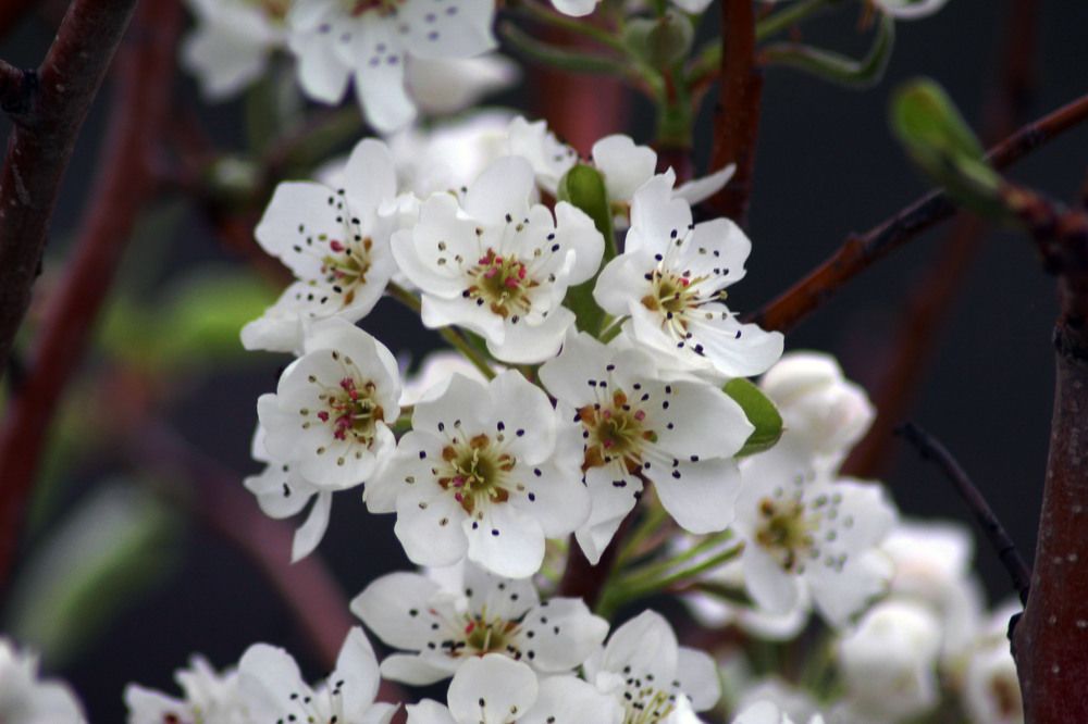 Photograph by Panagiotis Batatolis
