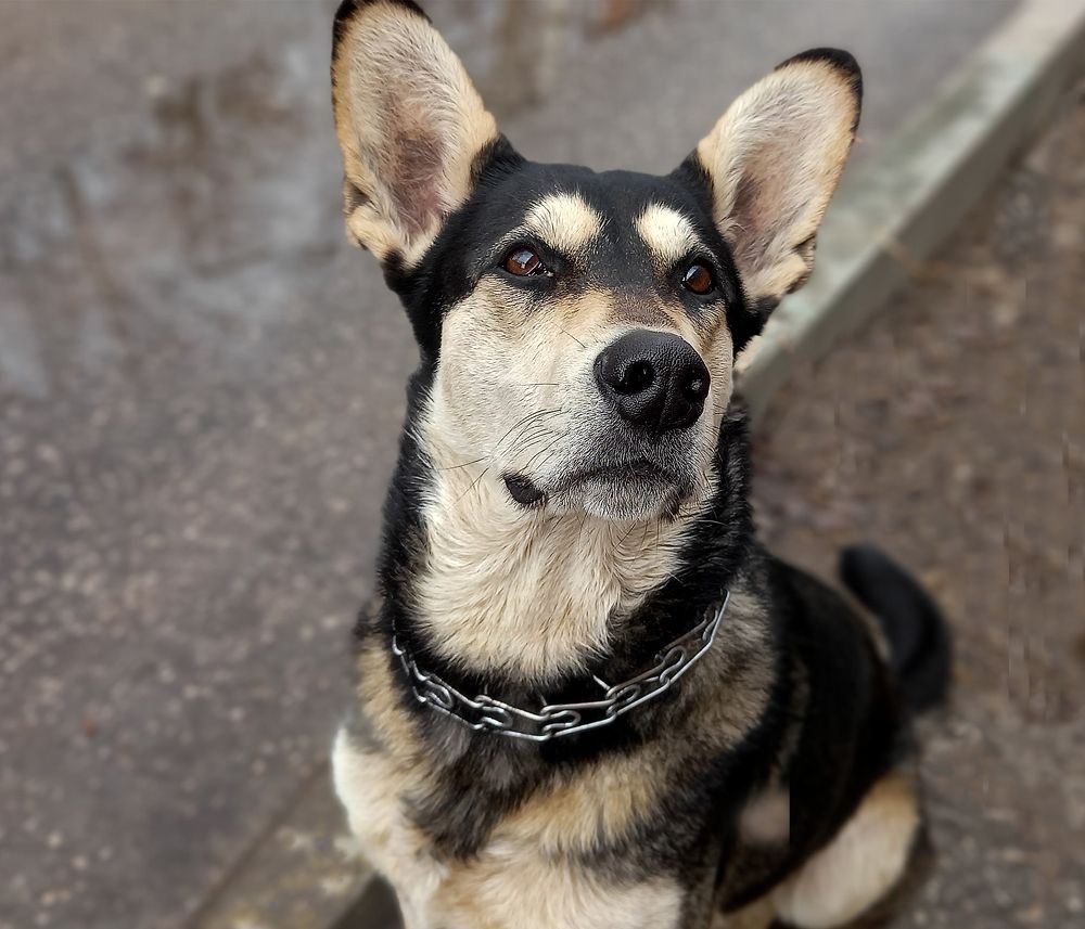 Photograph by Ирина Архипова