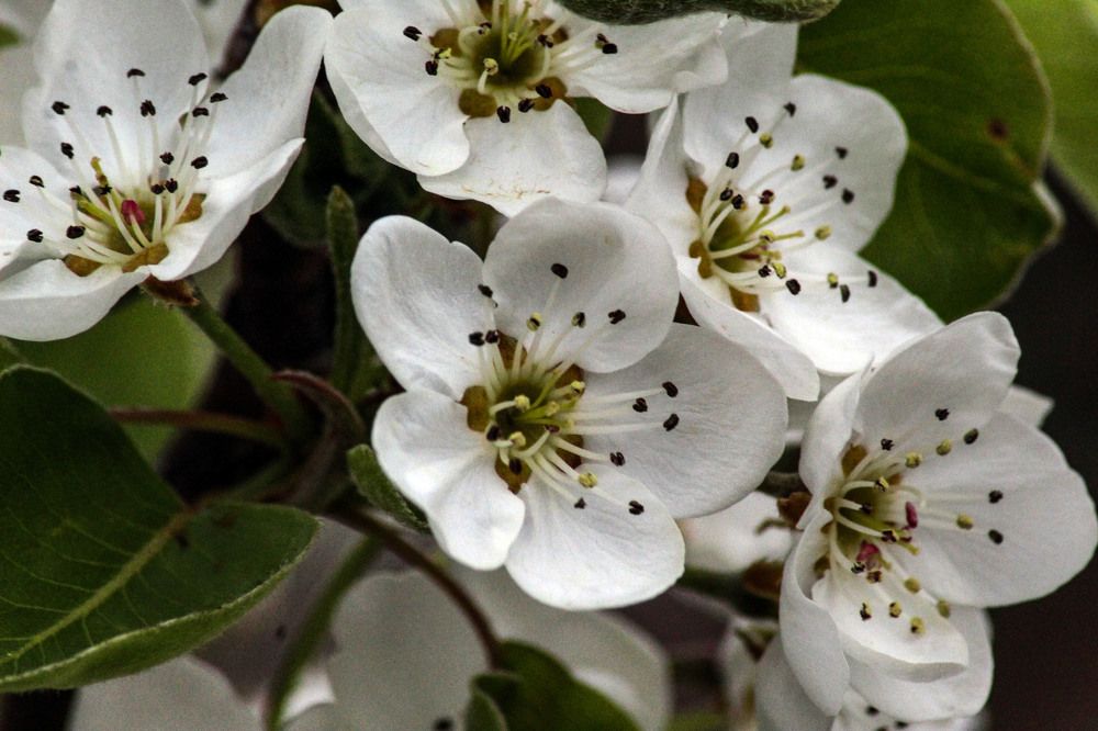 Photograph by Panagiotis Batatolis