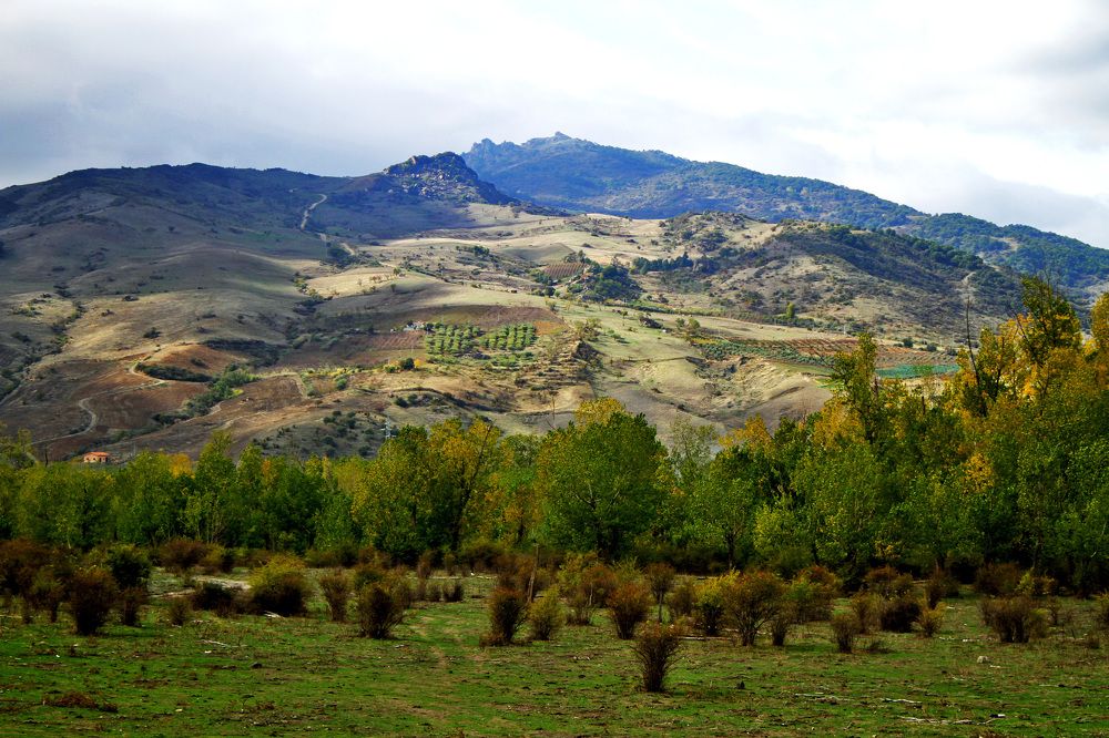 Photograph by Claudio Bonaccorsi