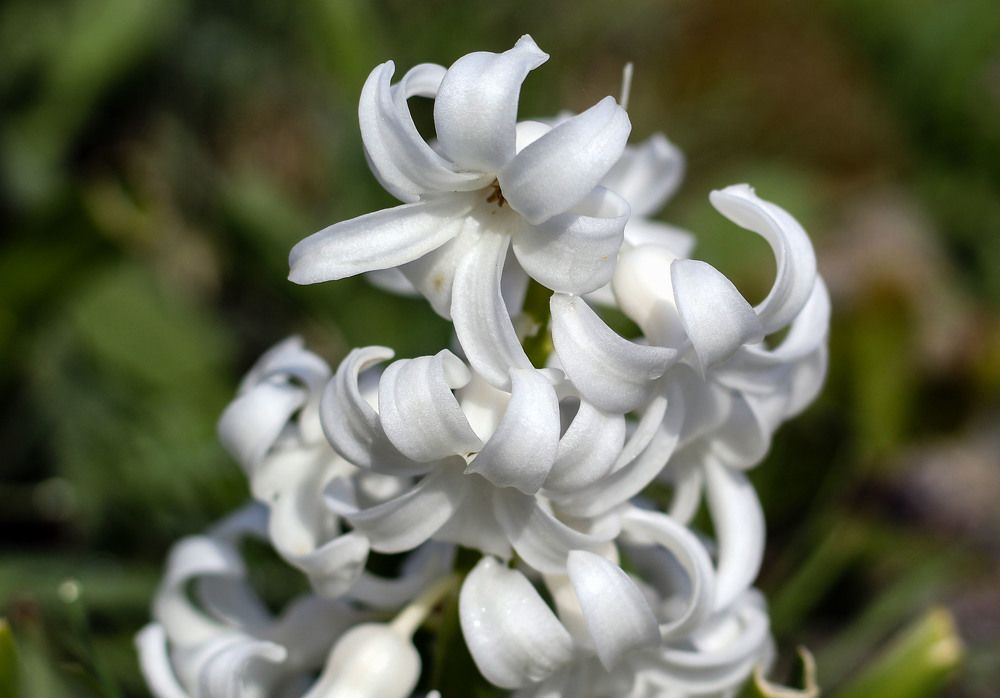 Photograph by Panagiotis Batatolis