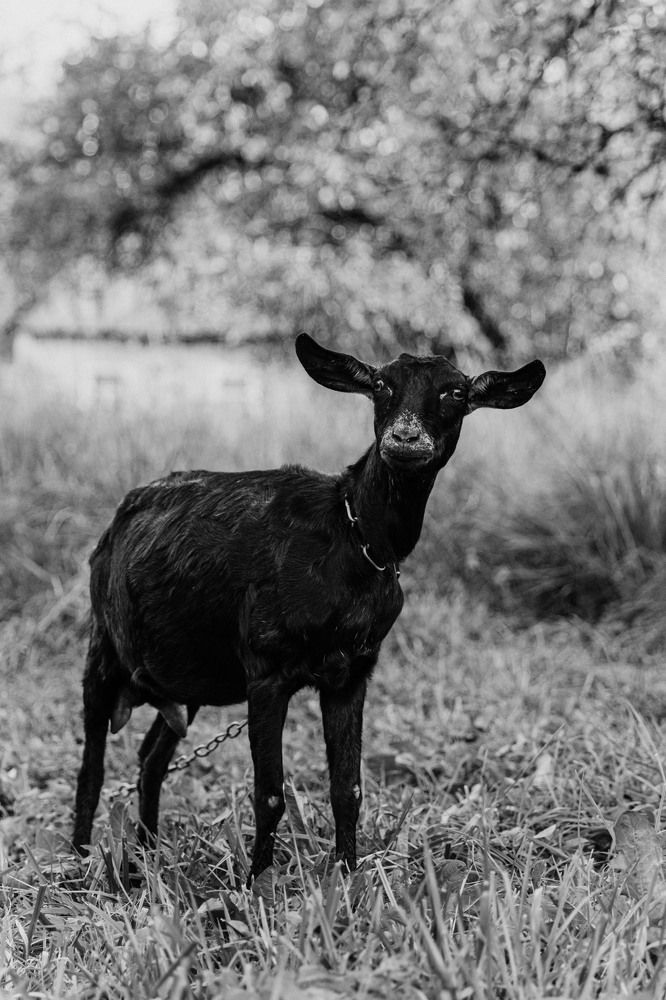 Photograph by Наталья Кузьменко