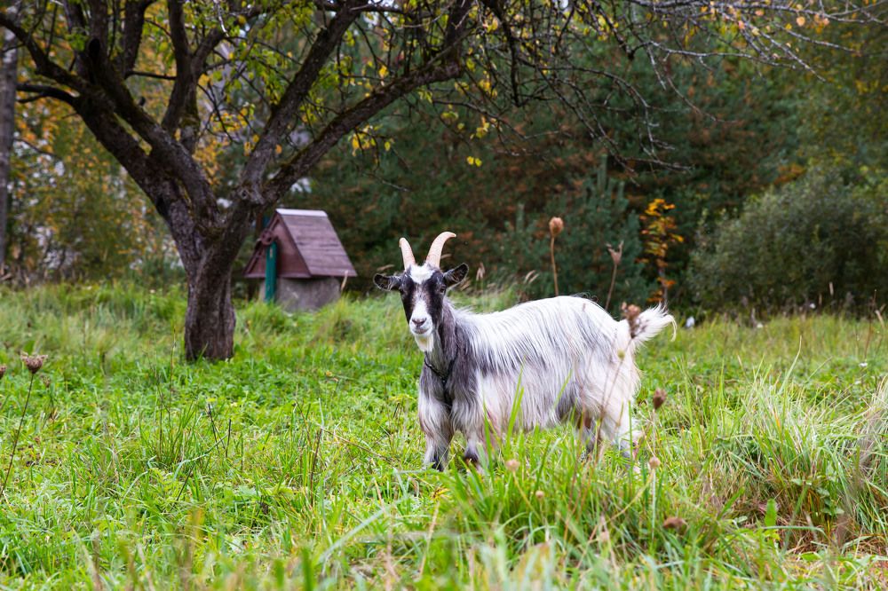Photograph by Наталья Кузьменко